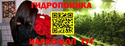 мдпв Старая Купавна